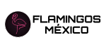 3(6)