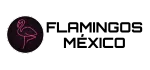 3(6)